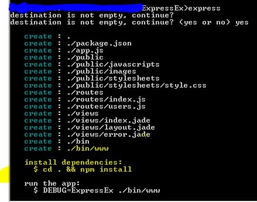 npm install