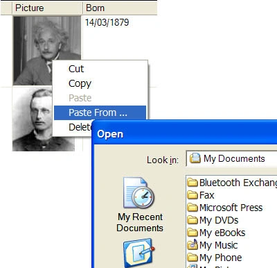 PasteFrom-in-VB.NET.jpg