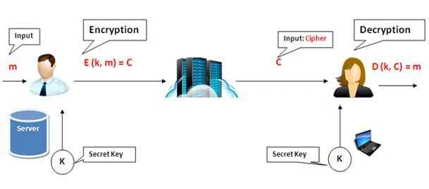 network