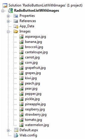 Application-Folder-in-ASP.NET.jpg