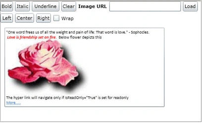 image2.gif