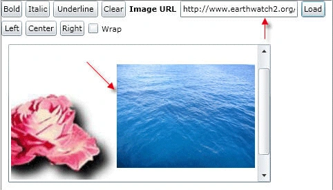 image20.gif
