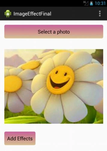 im4.jpg