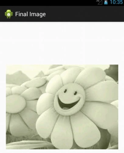 im6.jpg