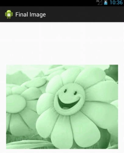 im8.jpg