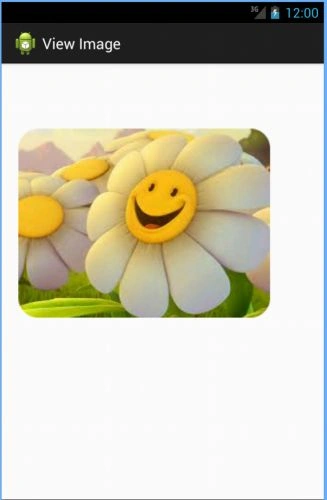 im3.jpg