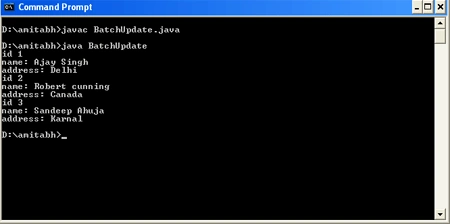 console output after batch update