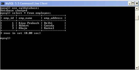 MySQL output before program 