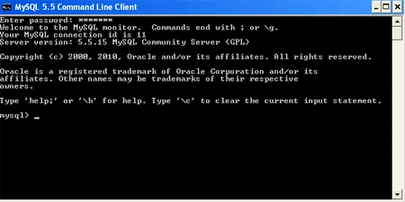 opening mysql console