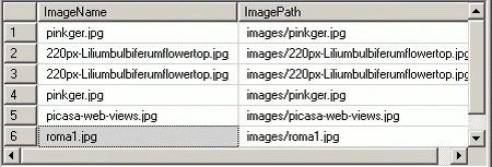 img02.gif