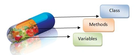 C# Encapsulation