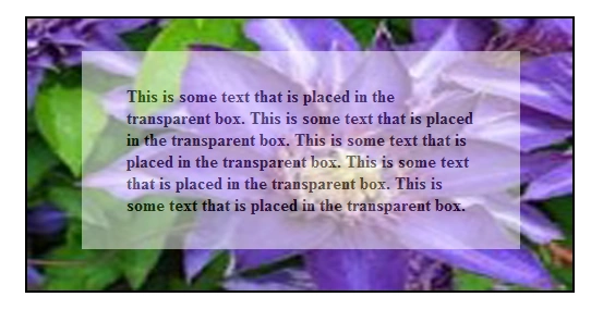 Transparent Box
