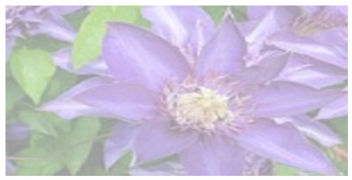 Transparent Image