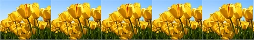 horizontal-image-repetition-property-in-html.png