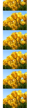 vertical-image-repetition-property-in-html.png