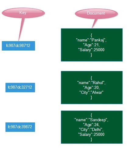 Document Database