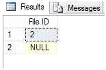 file id