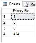 primary file