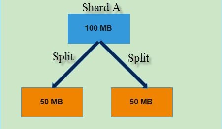 Splits data