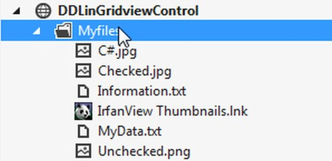 NewFolder