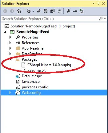 Add Packages To Package Folder