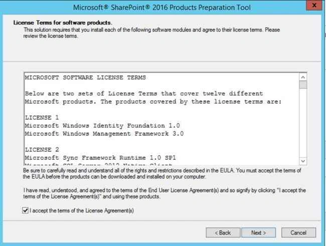 Accept the License Agreement to continue installation
