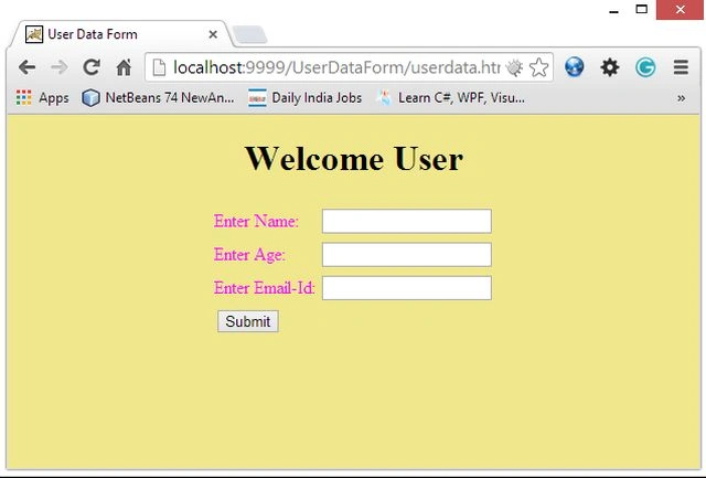 User Data Form