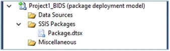project parameters