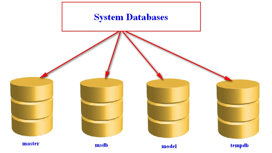 Database