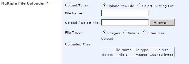 image3.gif