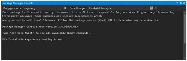 Package Manager Console