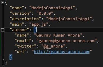 a typical package json file