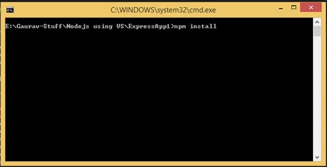 npm install