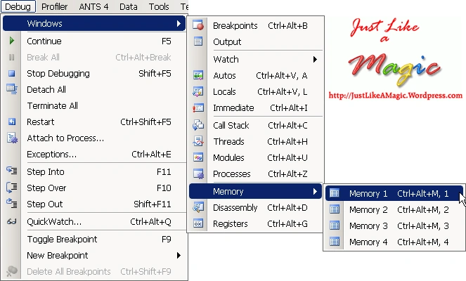 showing-memory-window.png