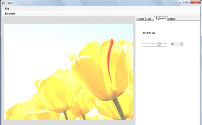 Image-Editing-tools-in-VB.Net.jpg