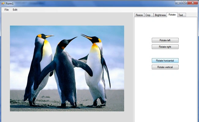 Rotation-of-image.jpg