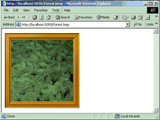 Microsoft internet