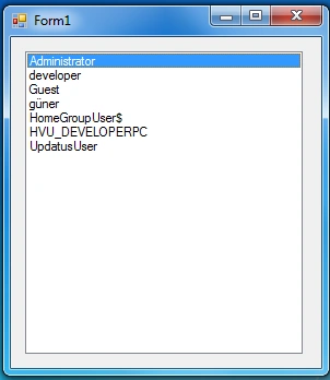 Getting All Users In A Computer