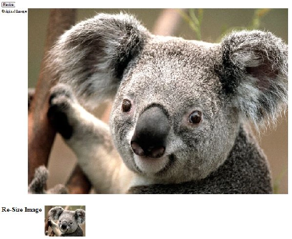 Resize-an-Image-in-Csharp.jpg