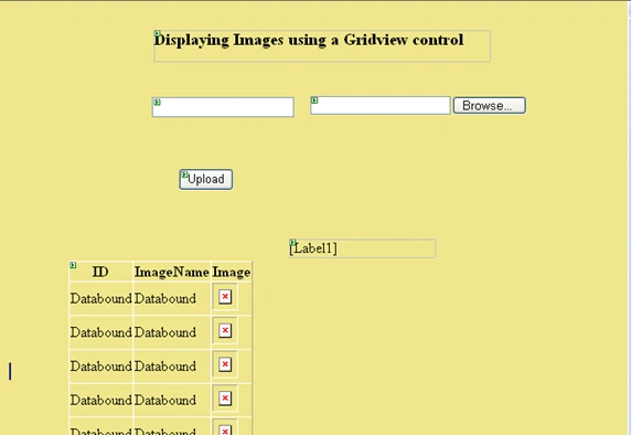 DataGrid2.gif