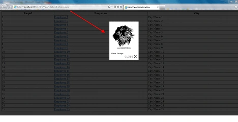 litebox1.gif
