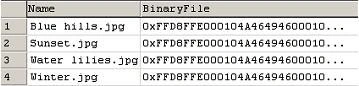 datatable.jpg