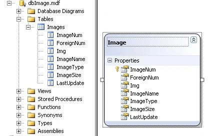 Image_f3.JPG
