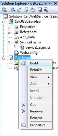 WebService10.jpg