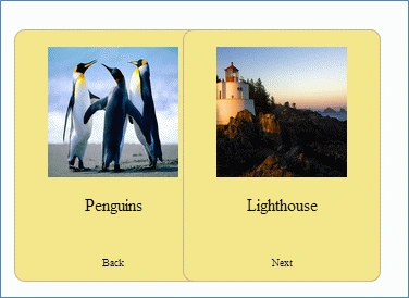 image1.gif