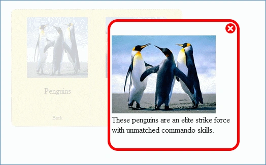 image2.gif