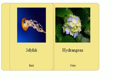 image3.gif