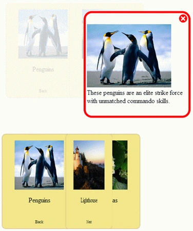 image5.gif