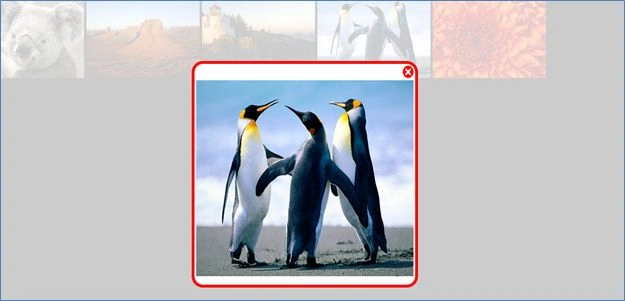 LightBox1.jpg