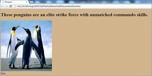 image4.gif